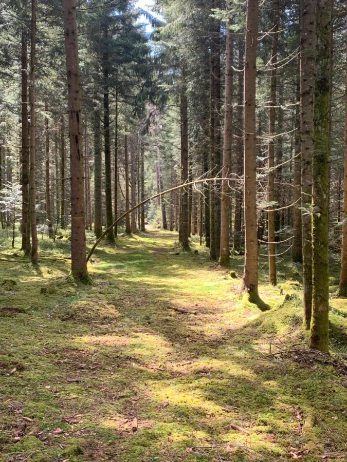 Апартаменты Tarahaus Санкт-Георген-им-Шварцвальд Экстерьер фото